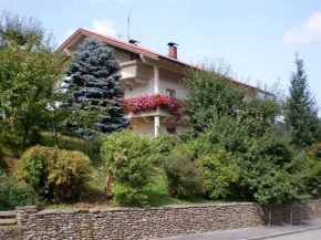 Family- friendly apartment in bavarian forest